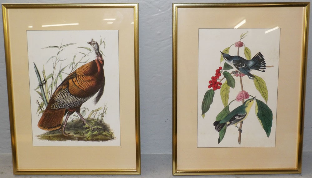 Four Framed Bird Prints - 2