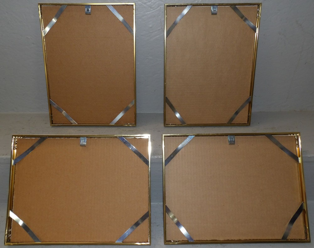 Four Framed Bird Prints - 4