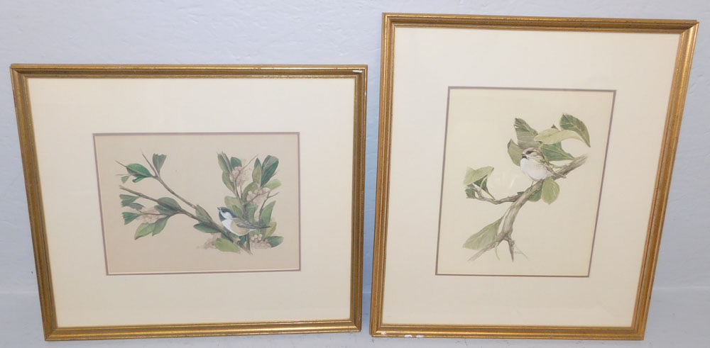 Two Framed Bird Prints (1 of 4)