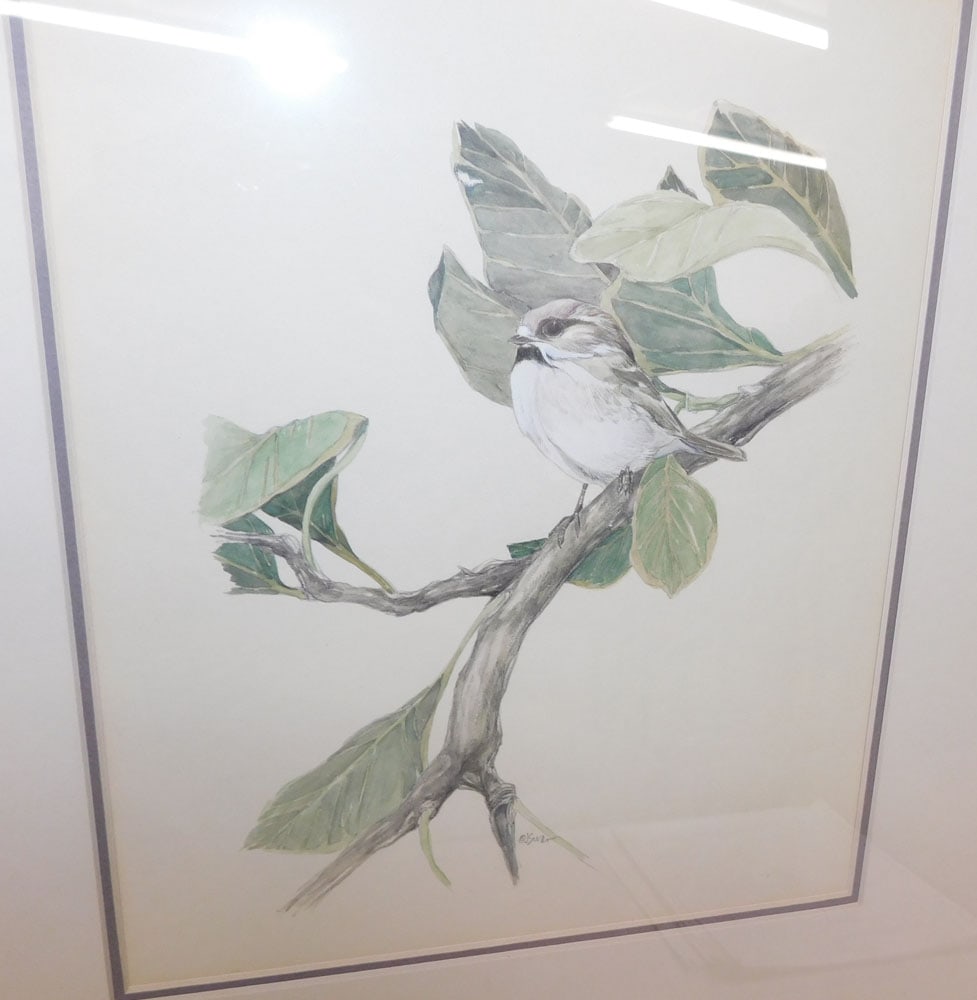 Two Framed Bird Prints - 2