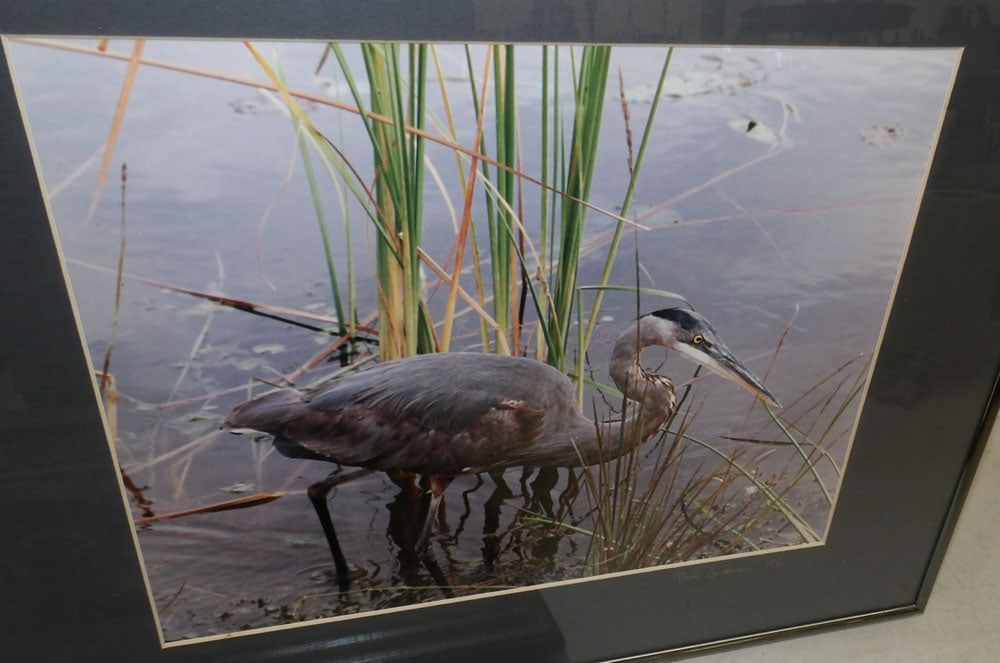 Three Framed Photos - 3