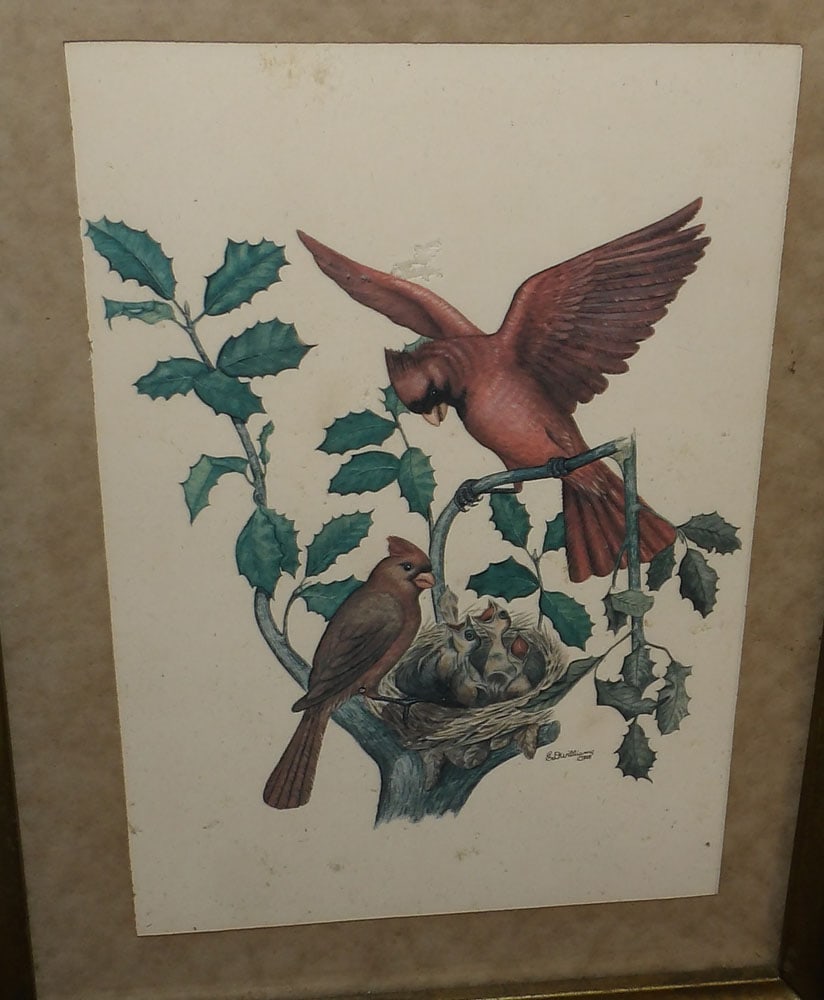 Three Bird Prints - One In Walnut Shadowbox Frame - 2