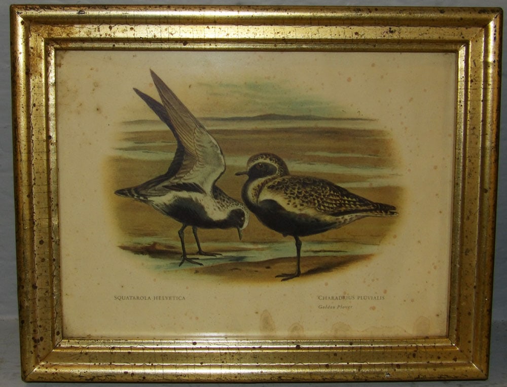 Two Framed Prints - 2