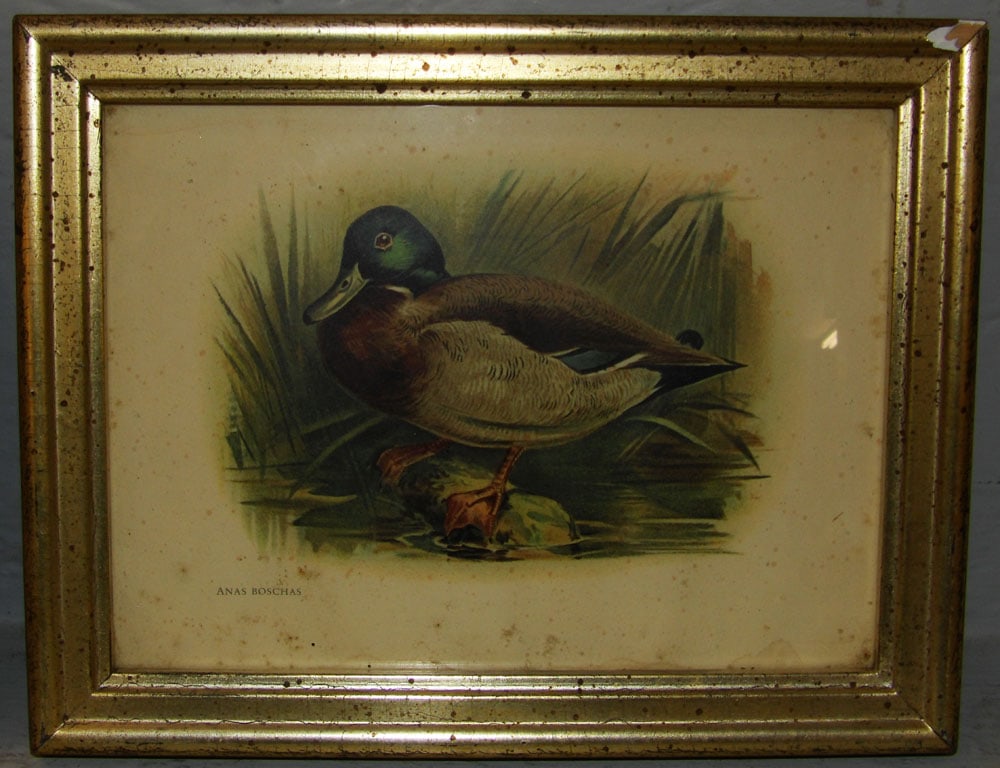 Two Framed Prints - 3