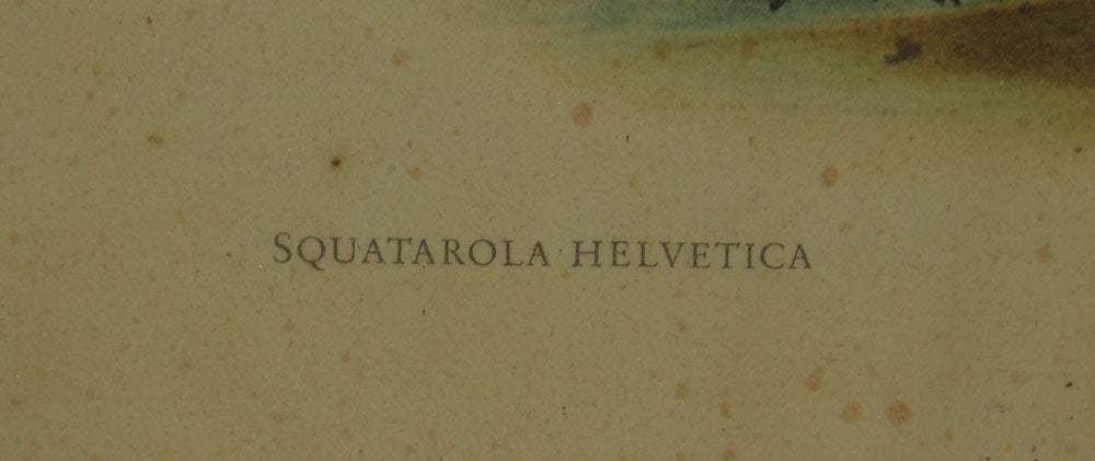 Two Framed Prints - 5