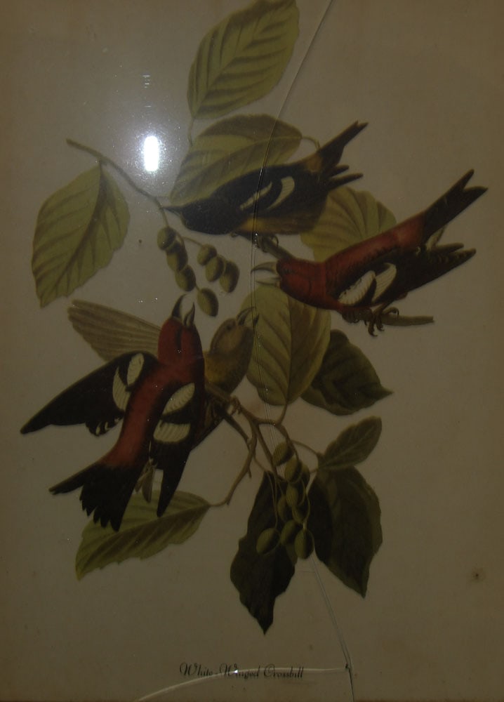 Two Walnut Shadow Box Frames - 4