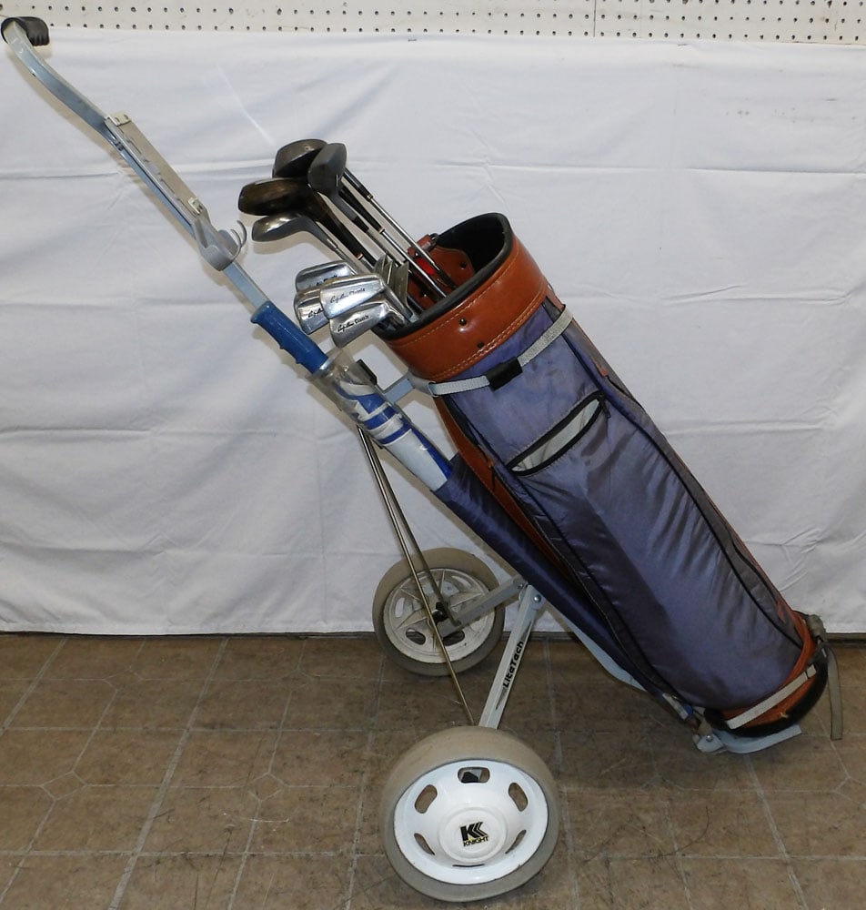 Arnold Palmer Golf Bag With Antique Wilson Golf Clubs: Arnold Palmer Golf Bag With Antique Wilson Golf Clubs. 45 1/2" H 11" Dia "ALL DESCRIPTIONS AND ANY CONDITION STATEMENT GIVEN BY LANGSTON AUCTION GALLERY ARE STRICTLY OPINIONS AND LANGSTON'S SHALL HAVE