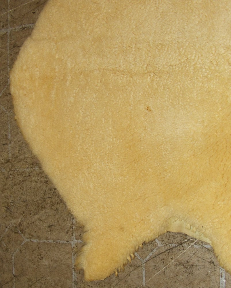 Sheep Skin Carpet - 5
