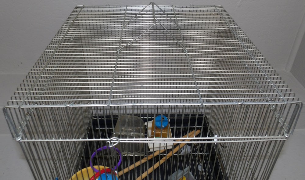Metal Bird Cage - 3