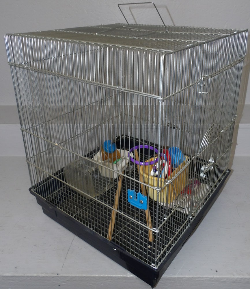 Metal Bird Cage - 4
