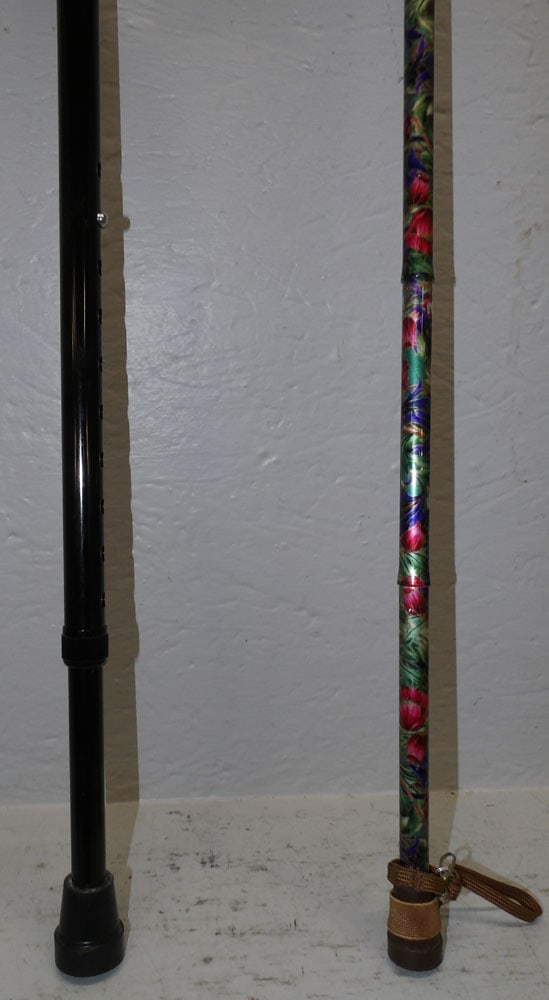 Two Walking Canes - 3