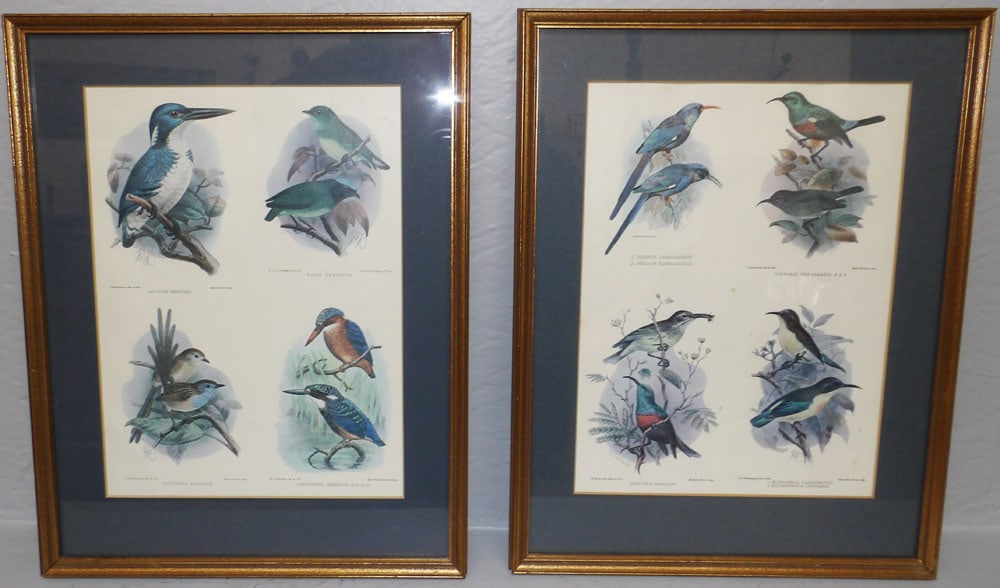 Two Framed Bird Prints (1 of 4)