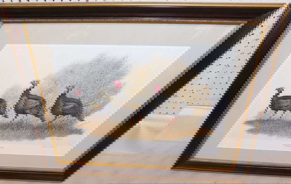 Framed Eastern Wild Turkey Print Pencil Signed & Numbered by Thomas Bennett: Framed Eastern Wild Turkey Print Pencil Signed & Numbered by Thomas Bennett. 26 1/4" x 32" ALL DESCRIPTIONS AND ANY CONDITION STATEMENT GIVEN BY LANGSTON AUCTION GALLERY ARE STRICTLY OPINIONS AND