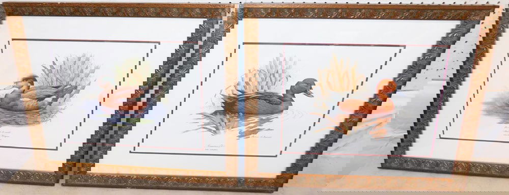 Two Framed "Cinnamon Teal" & American Widgean" Duck Prints Signed by Thomas Bennett: Two Framed "Cinnamon Teal" & American Widgean" Duck Prints Signed by Thomas Bennett. 19 1/2" x 23 1/2" ALL DESCRIPTIONS AND ANY CONDITION STATEMENT GIVEN BY LANGSTON AUCTION GALLERY ARE STRICTLY OPINI