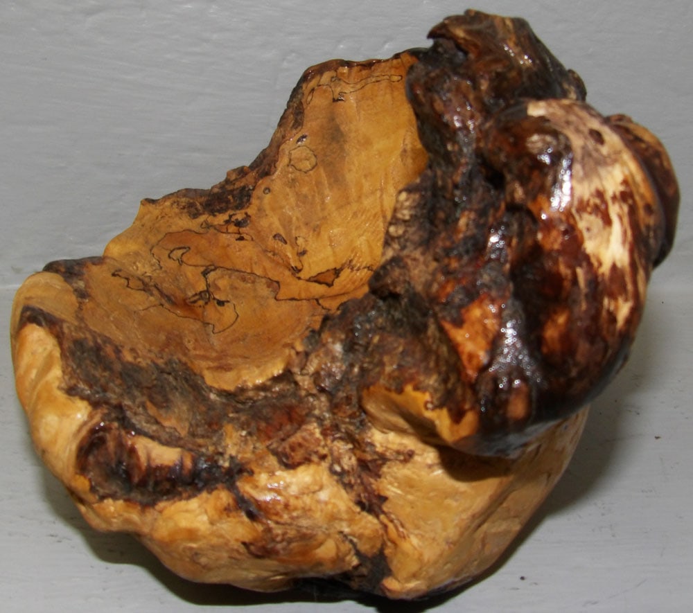 Maple Burled Wood Bowl - 2