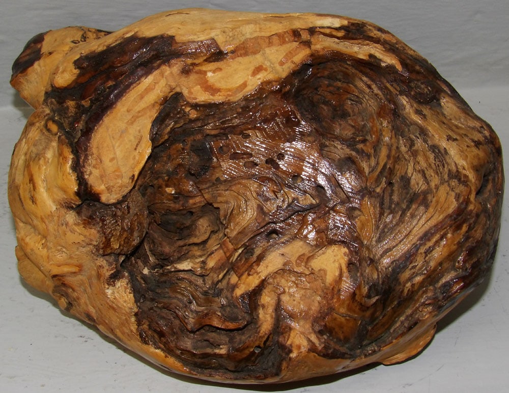Maple Burled Wood Bowl - 5