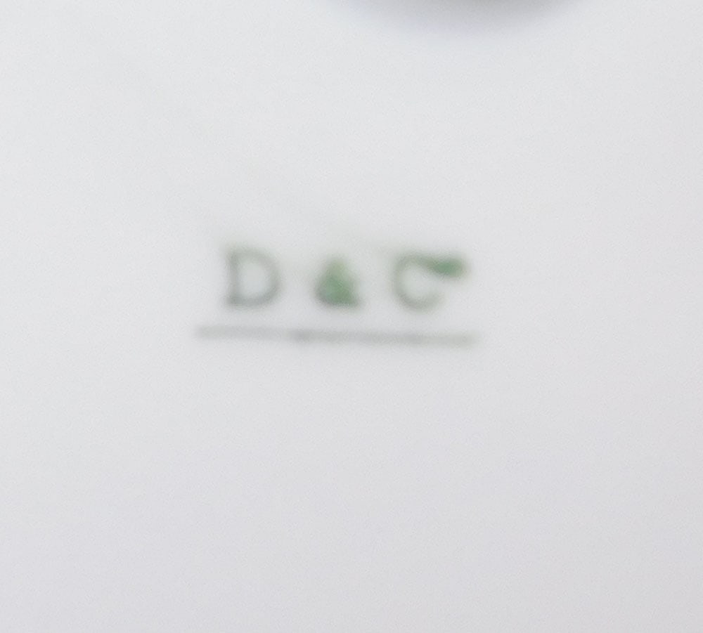 Antique Hand Painted Porcelain Tray - 4