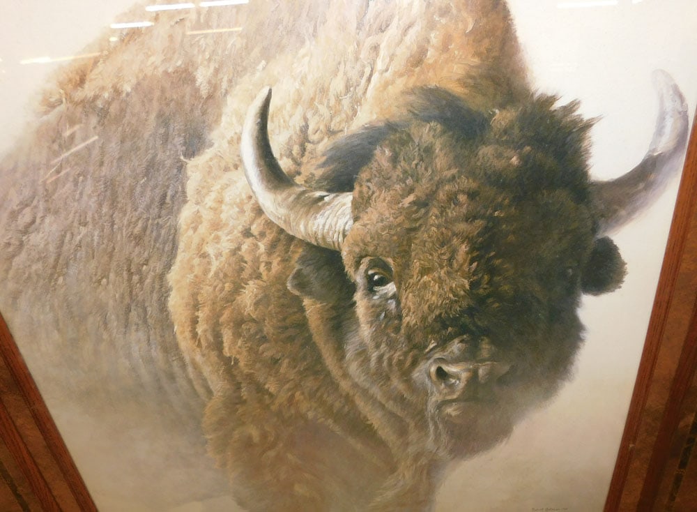 Large Bison Print in Chestnut Frame - 2