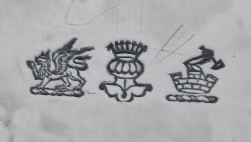 Ornate Silverplated Serving Tray with Grape & Cable Border - 13