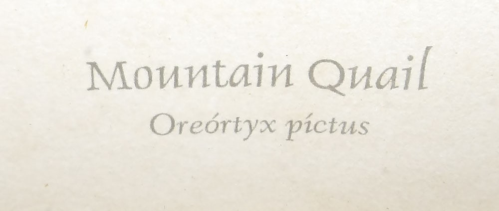 Seven Framed Bird Prints - 10