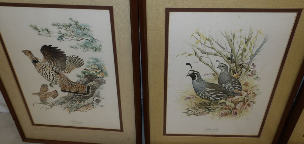 Seven Framed Bird Prints - 2