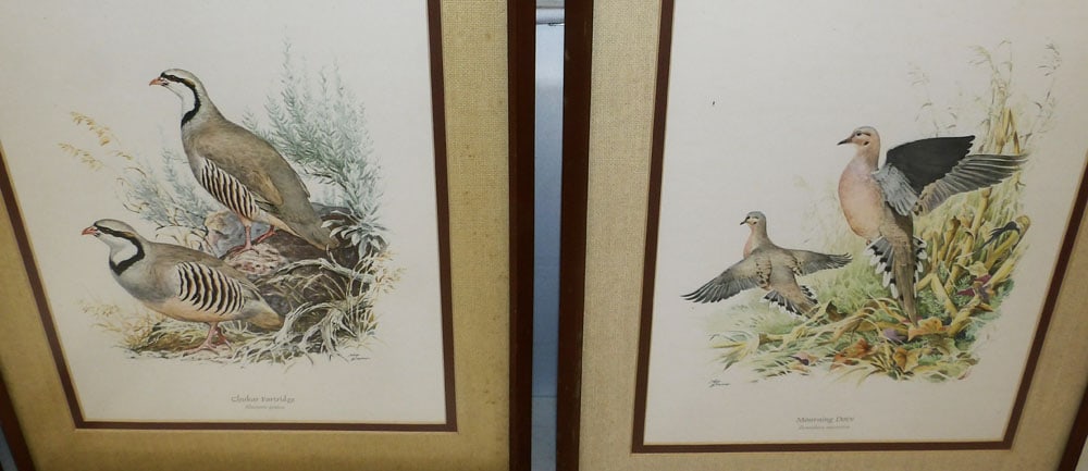 Seven Framed Bird Prints - 5