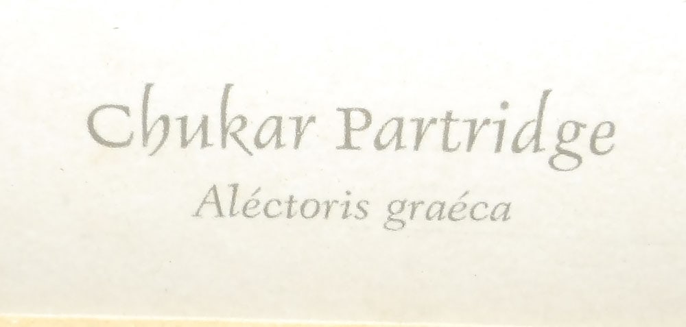 Seven Framed Bird Prints - 6