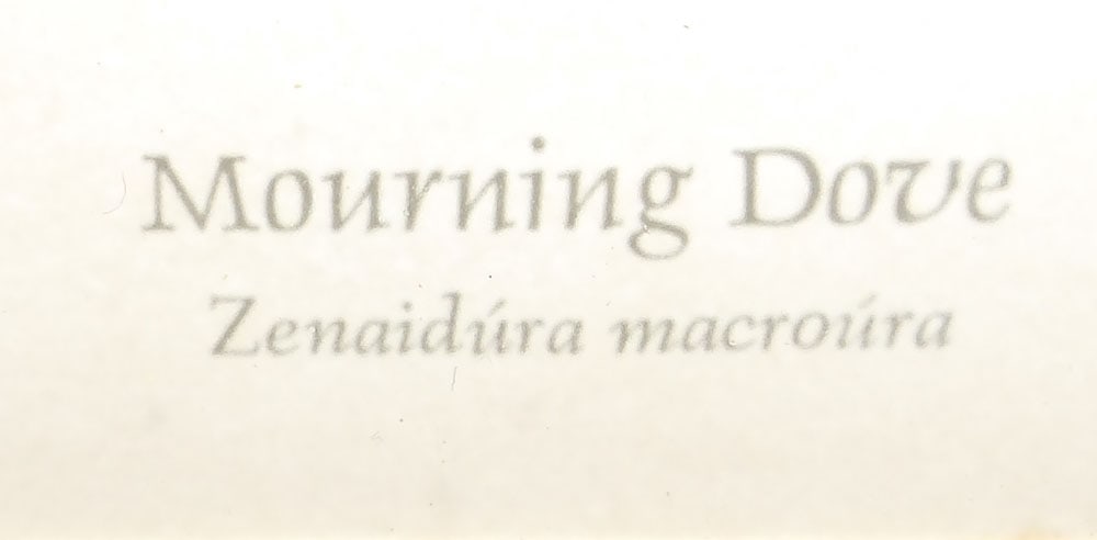 Seven Framed Bird Prints - 7