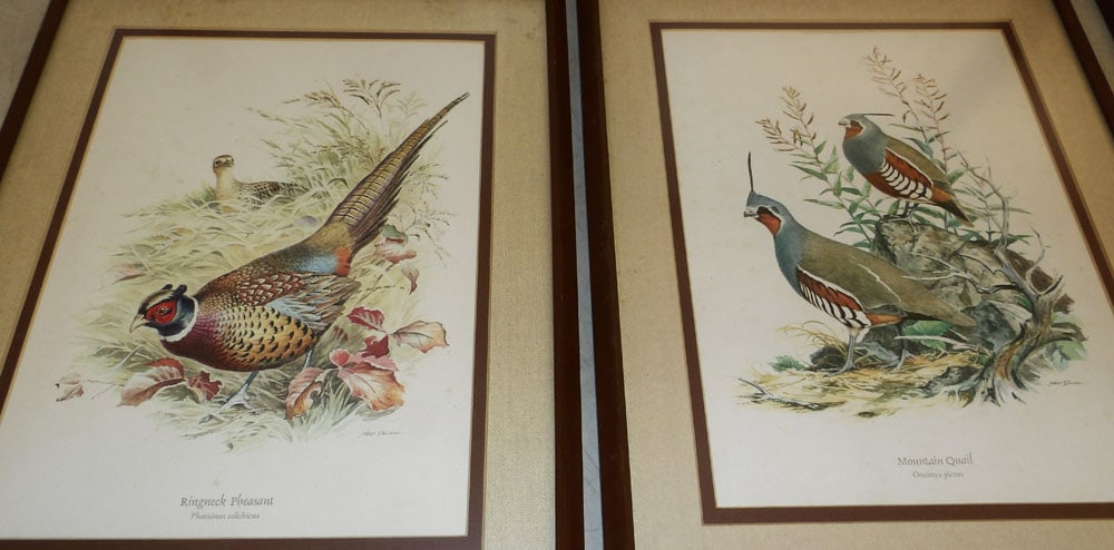Seven Framed Bird Prints - 8