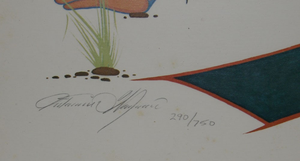 Native American Framed Print - 3