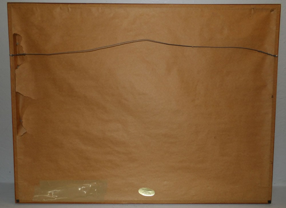 Native American Framed Print - 4