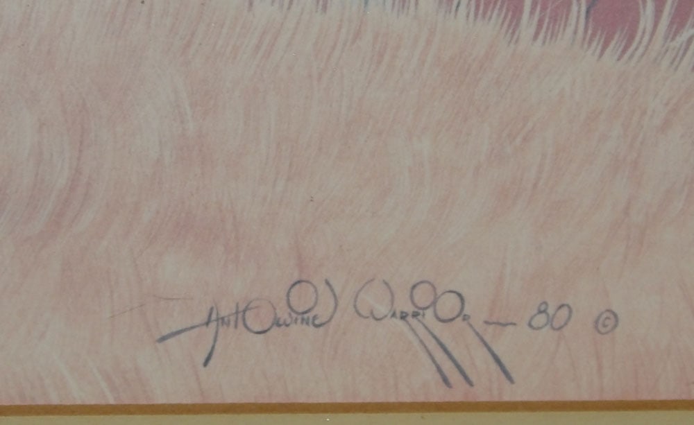 Native American Framed Print - 3