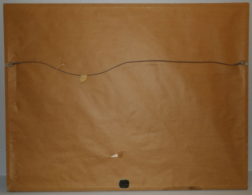 Native American Framed Print - 4