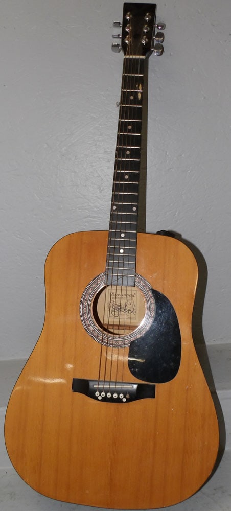 Burswood Acoustic Guitar (1 of 7)