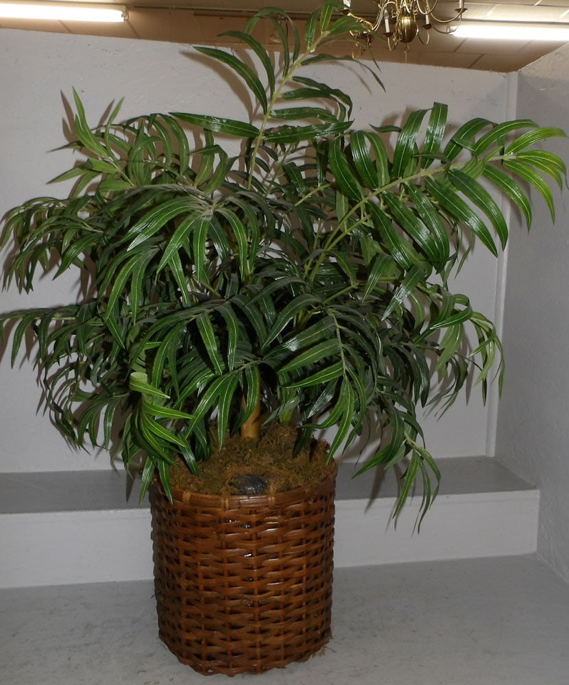 Faux Plant (1 of 5)