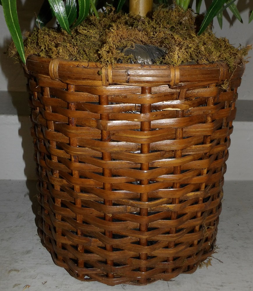 Faux Plant - 2