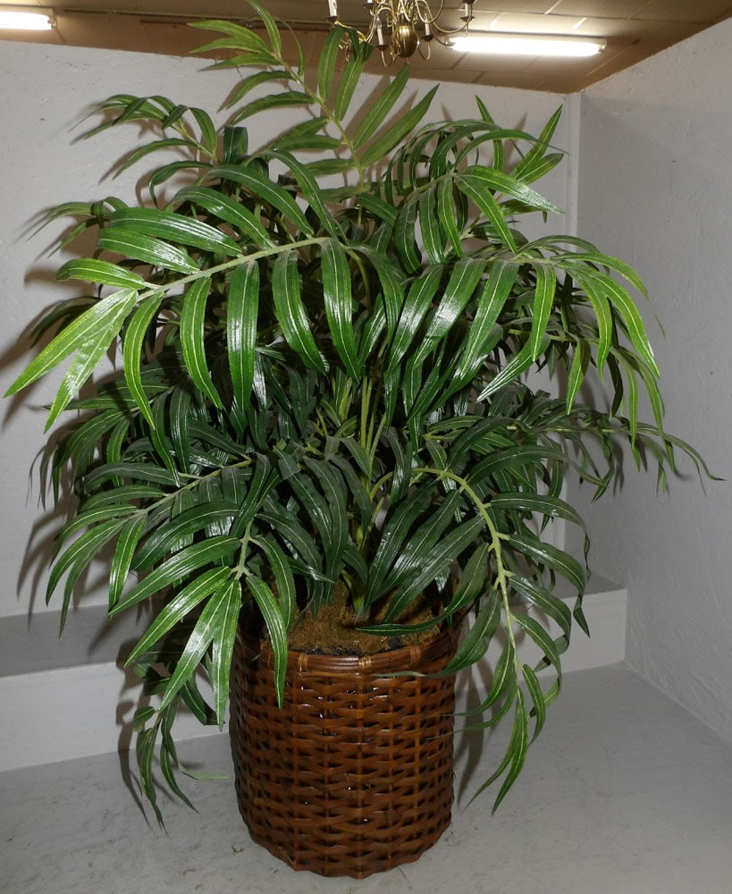 Faux Plant - 3