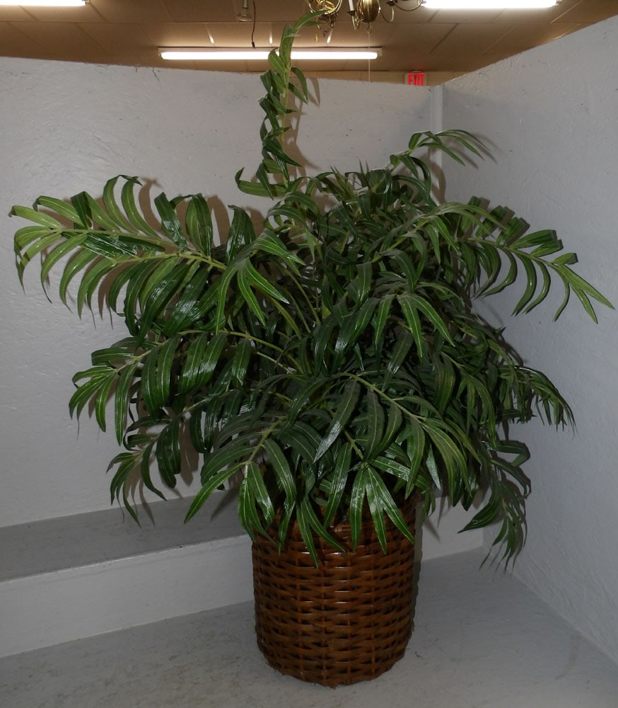 Faux Plant - 4