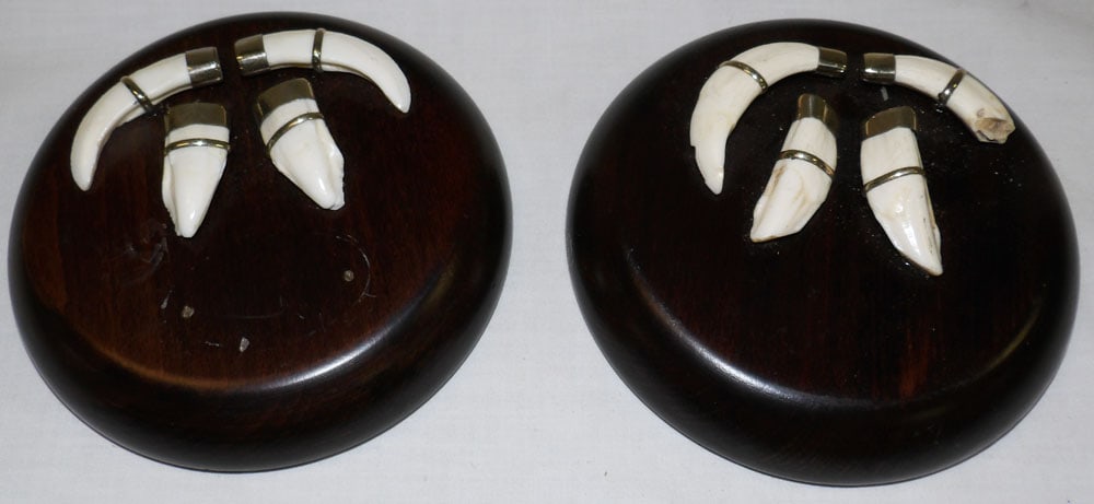 Pair of Walnut Plaques with Animal Teeth: Pair of Walnut Plaques with Animal Teeth . 5" Dia. ALL DESCRIPTIONS AND ANY CONDITION STATEMENT GIVEN BY LANGSTON AUCTION GALLERY ARE STRICTLY OPINIONS AND LANGSTON'S SHALL HAVE NO RESPONSIBILITY FOR 