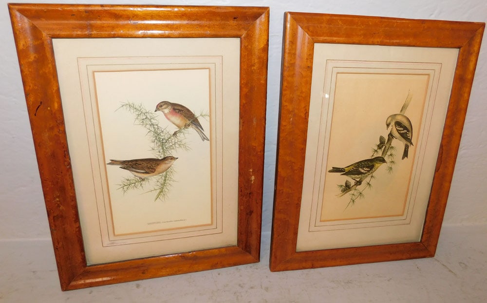 Two Birds Eye Maple Framed Bird Prints (1 of 6)