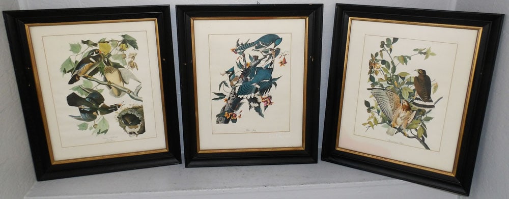 Three Framed Bird Prints (1 of 8)