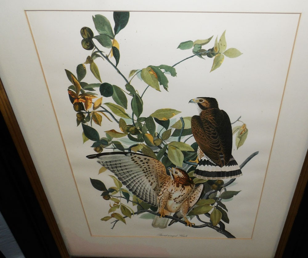 Three Framed Bird Prints - 2
