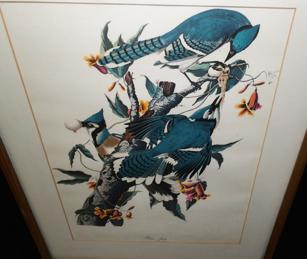 Three Framed Bird Prints - 3