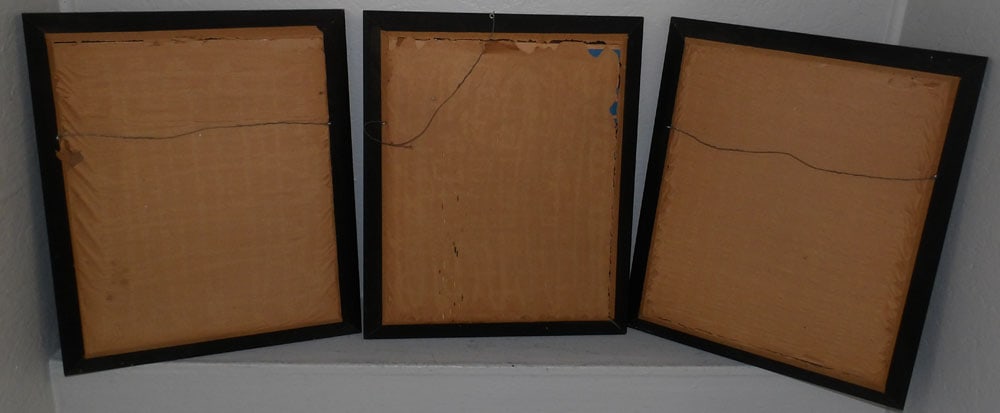 Three Framed Bird Prints - 8