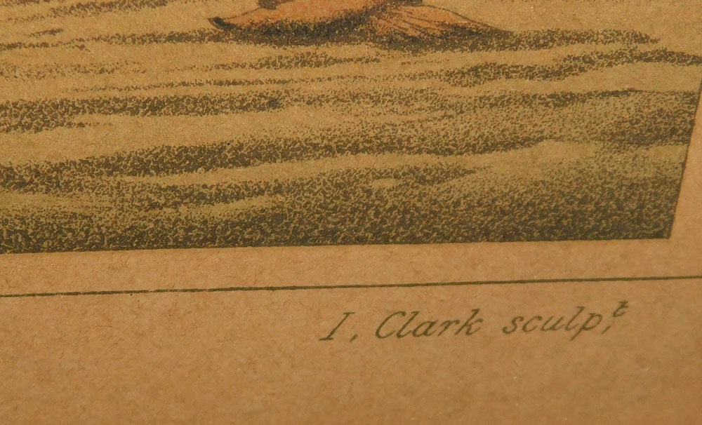 Three Framed Hand Colored Hunt Scene Engravings - 5