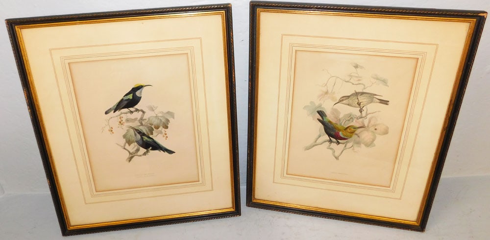 Two Framed Hand Colored Bird Engravings: Two Framed Hand Colored Bird Engravings . 19 3/4" x 16 1/2" ALL DESCRIPTIONS AND ANY CONDITION STATEMENT GIVEN BY LANGSTON AUCTION GALLERY ARE STRICTLY OPINIONS AND LANGSTON'S SHALL HAVE NO RESPONSIBI