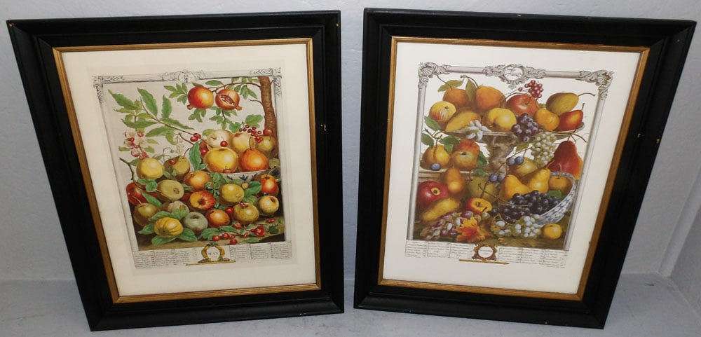 Two Framed Hand Colored Fruit Month Engravings: Two Framed Hand Colored Fruit Month Engravings . 23 3/4" x 20" ALL DESCRIPTIONS AND ANY CONDITION STATEMENT GIVEN BY LANGSTON AUCTION GALLERY ARE STRICTLY OPINIONS AND LANGSTON'S SHALL HAVE NO RESPONS