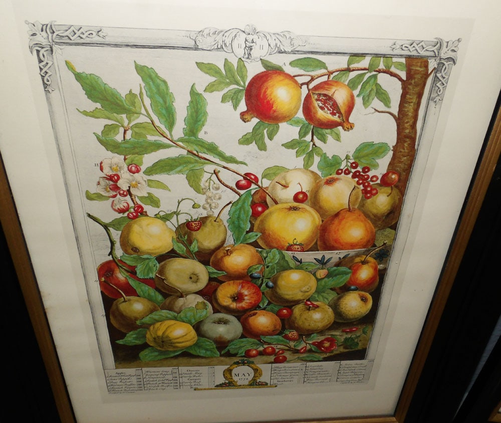 Two Framed Hand Colored Fruit Month Engravings - 2