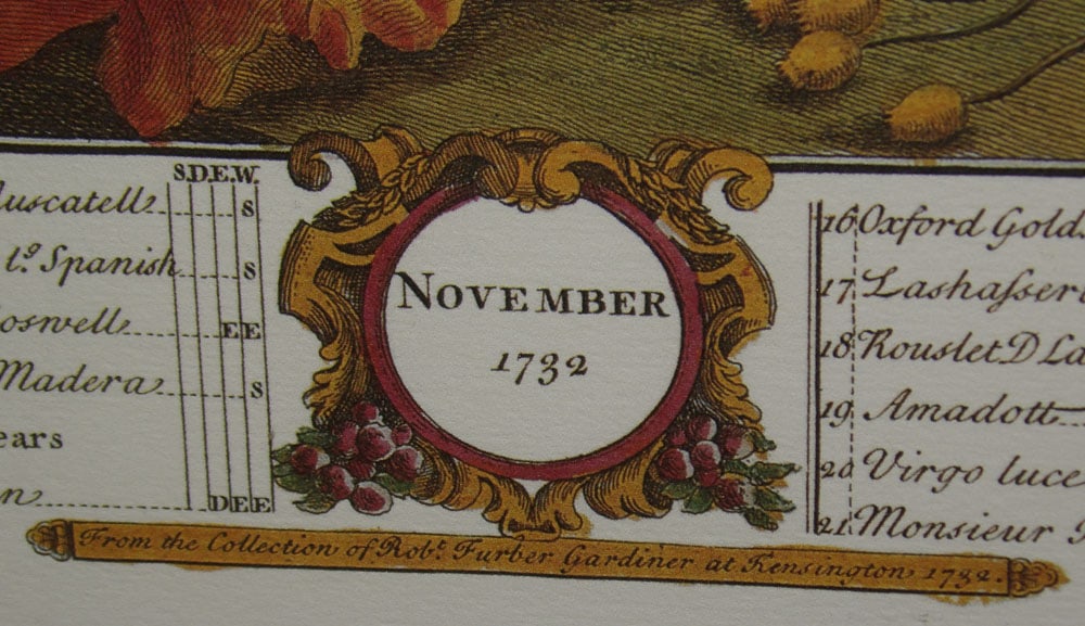 Two Framed Hand Colored Fruit Month Engravings - 4