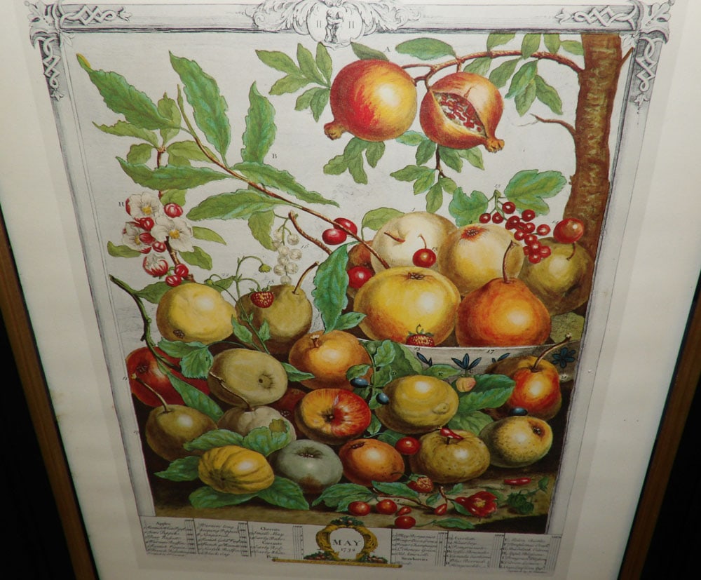 Two Framed Hand Colored Fruit Month Engravings - 5
